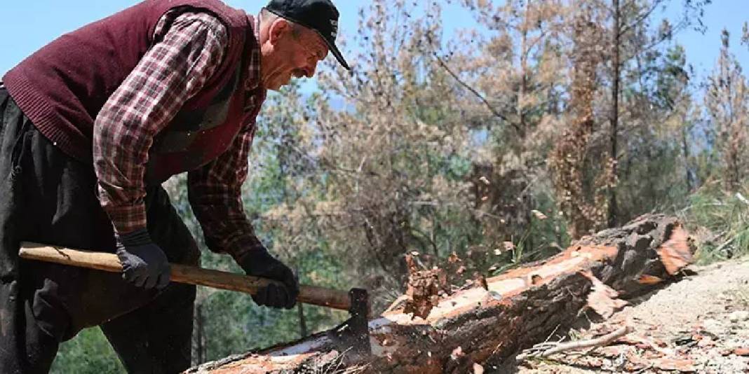 Makine yok, beton yok! Ormanın kalbinde alın teri: Karı-koca yıllardır ter döküyor, ekmeklerini birlikte çıkarıyorlar… 3